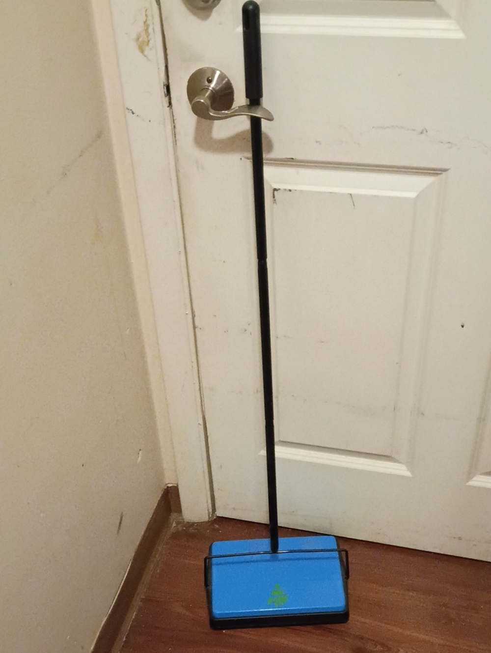 Bissell Push Sweeper